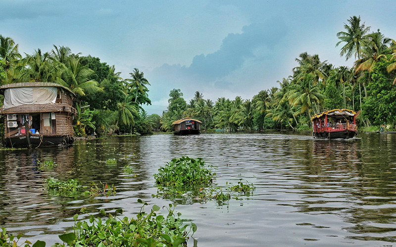 River Safari