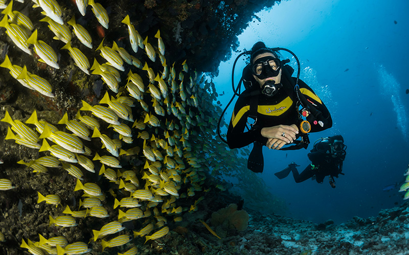 Diving