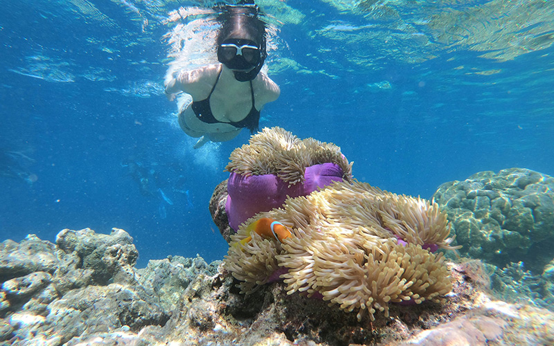 Snorkeling